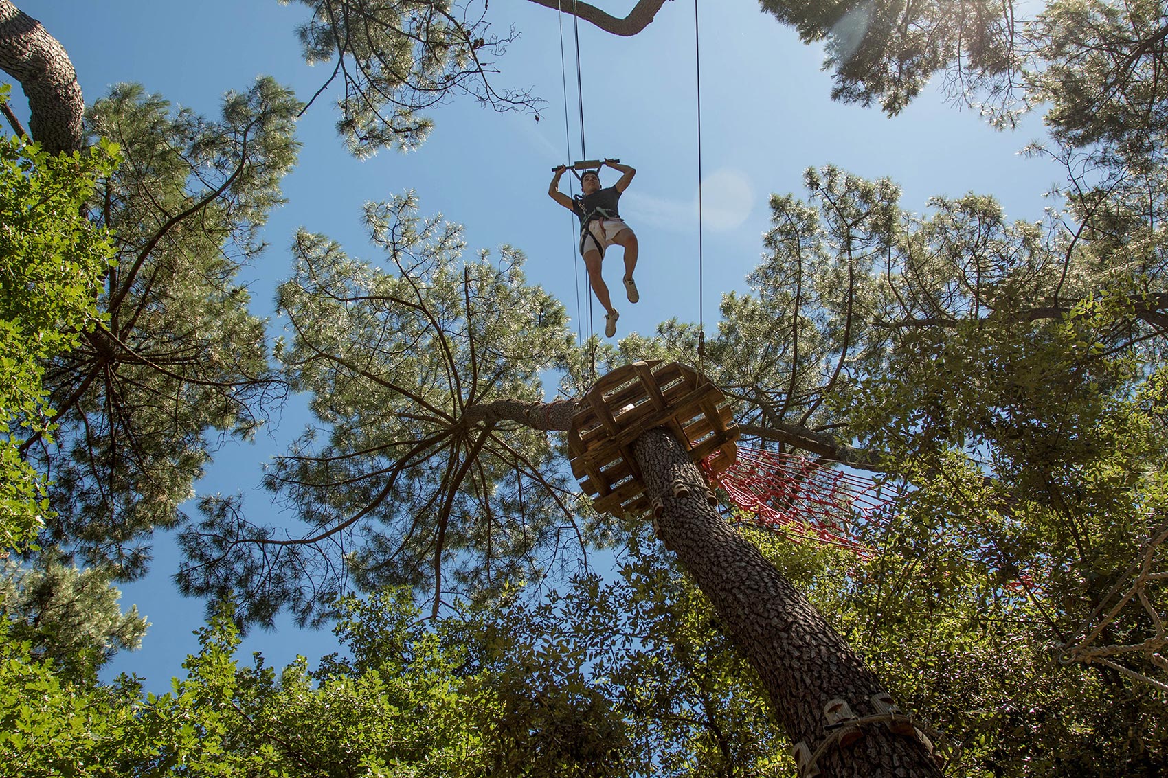 Accroche toi aux branches en Ardèche