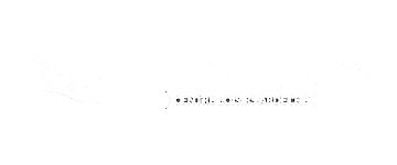 Viking Bateaux