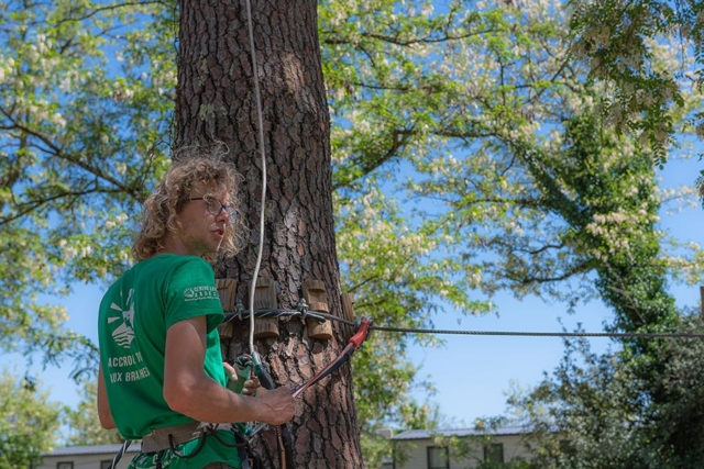 Parc d'accrobranche à Vallon-Pont-d'Arc Parc d'accrobranche à Vallon-Pont-d'Arc